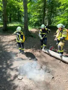 FW-EN: Fünf Einsätze für die Freiw. Feuerwehr – Zwei Brände in Waldgebieten.