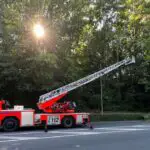 FW-EN: Brandmeldealarm im Kraftwerk – Feuerwehr rettet Mauersegler aus Ratsaal