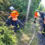 FW Celle: Einsatzreicher Start in die Woche für die Feuerwehr Celle