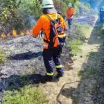 FW Celle: Drei Vegetationsbrände innerhalb von zwei Stunden in Celle!