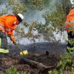 FW Celle: Brandausbreitung in Hochwald verhindert – Feuerwehr Flugdienst im Einsatz