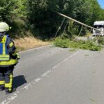 FW-EN: Fahrbahn durch Baum blockiert