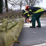 FFW Schiffdorf: Baum behindert Fahrbahn – Sturmböen sorgen erneut für Einsatz