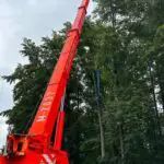 FW-M: Baum droht zu fallen (Oberföhring)