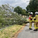 FW Alpen: Umgestürzter Baum blockiert Xantener Straße