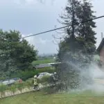 FW Kranenburg: Blitz schlägt in Baum ein