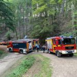 FW-OG: Waldbrand in Offenburger Ortsteil Zell-Weierbach