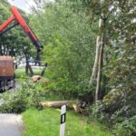 FFW Schiffdorf: Feuerwehr befreit Straße von Baum – LKW-Fahrer unterstützt