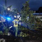 FW-EN: Wetter – umgestürzter Baum versperrt Fahrbahn