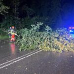FW-EN: Querspange durch Baum versperrt & Verkehrsunfall auf der Schmiedestraße