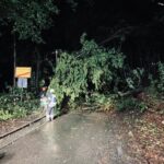 FW-EN: Straße durch mehrere umgestürzte Bäume versperrt