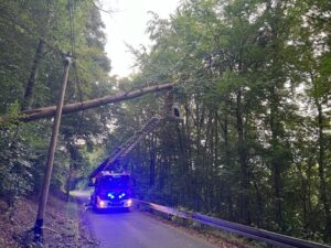 FW-EN: Feuerwehr beseitigt Baum