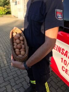 FW Celle: Feuerwehrleute erhalten Eier zum Dank – „Das erleben wir nicht jeden Tag!“