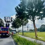 FW Alpen: Gespaltener Baum nach Blitzeinschlag