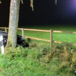 FFW Fredenbeck: PKW-Fahrer nach Unfall schwer verletzt / Feuerwehr befreit Fahrer aus Audi