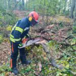 FW-KLE: Sturmtief Emir: Entspannte Lage für die Freiwillige Feuerwehr Bedburg-Hau