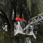 FW-KLE: Achtung, Baum fällt! – Ausbildung an der Motorsäge bei der Freiwilligen Feuerwehr Bedburg-Hau