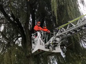 FW-KLE: Achtung, Baum fällt! – Ausbildung an der Motorsäge bei der Freiwilligen Feuerwehr Bedburg-Hau