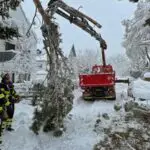 FW-M: Bilanz der schneebedingten Einsätze (Stadtgebiet)
