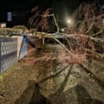 FW Grevenbroich: Bäume auf Autos, Spielplatz, Straßen überflutete Keller / Sturm Zoltan beschert Feuerwehr eine der einsatzreichsten Nächte des Jahres – gut 100 Helfer im Dauereinsatz – Warnung vor Waldspaziergängen