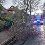 FFW Schiffdorf: Baum blockiert Straße und Gehweg
