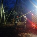FW-WRN: Löschgruppe Langern entfernt umgestürzten Baum