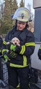 FW-DO: Feuerwehr rettet innerhalb von zwei Stunden zehn Hunde