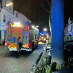 FW-BN: Vermeintlicher Gebäudebrand in Plittersdorf – Eine Person gerettet, mehrere Gasflaschen gesichert