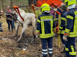 FW Flotwedel: Ortsfeuerwehr Nienhof befreit Pferd aus misslicher Lage