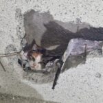 FW Moers: Katze in Spalt zwischen Garage und Haus eingeklemmt / Aufwendige Rettungsaktion