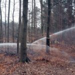 FW Dresden: Waldbrandübung in der Dresdner Heide