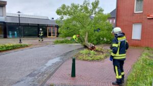 FFW Schwalmtal: Umgestürzter Baum auf Fahrbahn