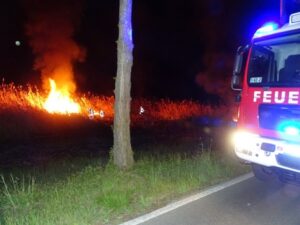 FW Reichenau: Feuerwehr hat Schilfbrand schnell gelöscht, Reichenau L221, 28.04.2024