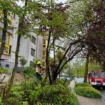 FW-EN: Unwetter beschert der Feuerwehr zwei kleinere Einsätze