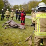 FW-OLL: Feuerwehren im Landkreis Oldenburg trainieren Großtierrettungseinsätze