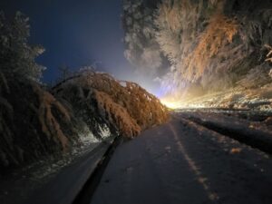 FW Horn-Bad Meinberg: Nächtlicher Schneefall lässt Bäume umstürzen und Äste abknicken – Feuerwehr im Dauereinsatz