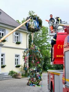 FW-Radolfzell: Maibaum auf Abwegen